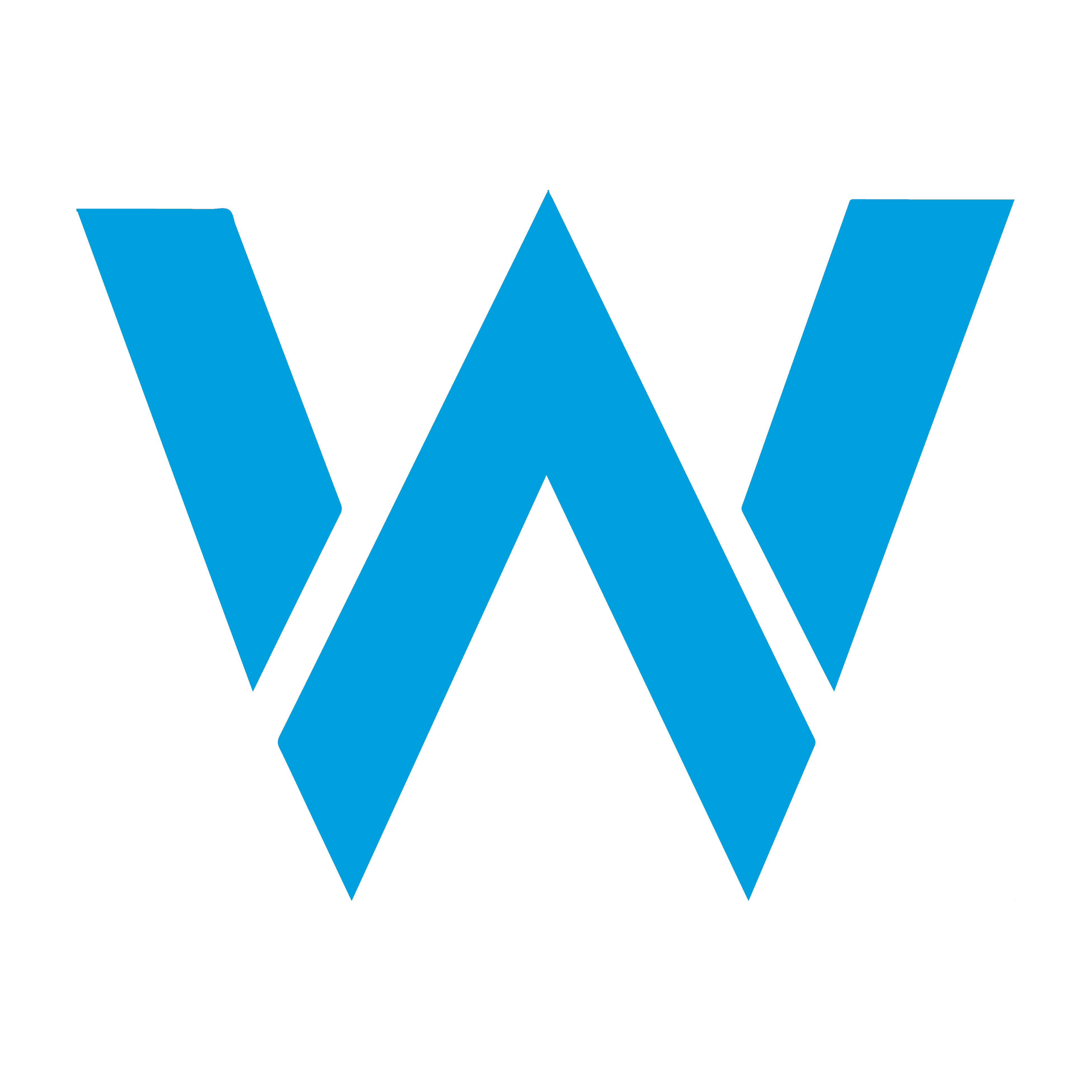 Williams logo